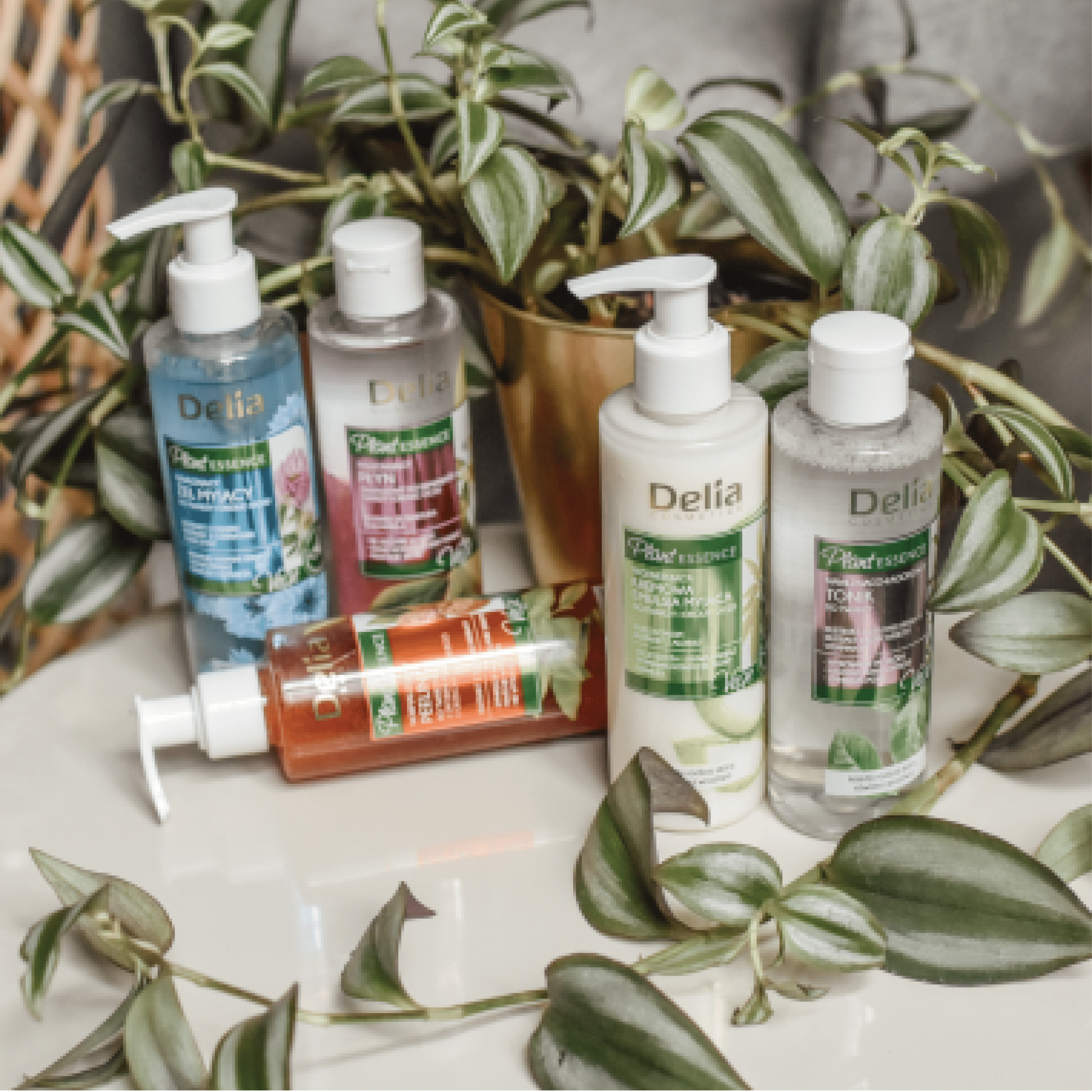 باكج Plant Essence مقشر و تونر للوجه - Delia Cosmetics