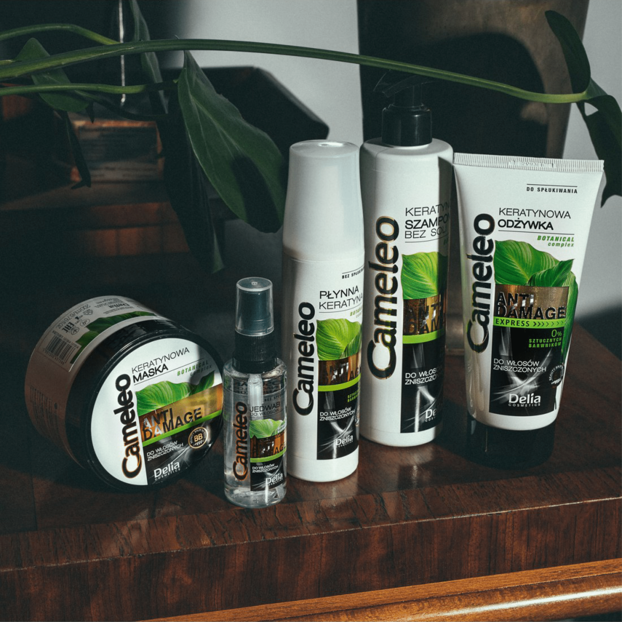 CAMELEO ANTI - DAMAGE سيروم المضاد للتلف بزيت الأرجان وعناية إضافية بالشعر الخشن والهش 55 مل - Delia Cosmetics