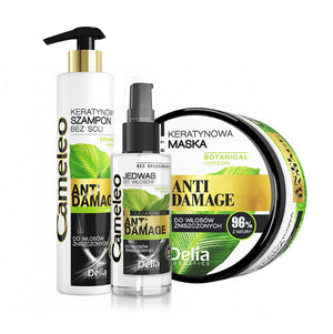 مجموعة الAnti - Damage للعناية بالشعر التالف - Delia Cosmetics