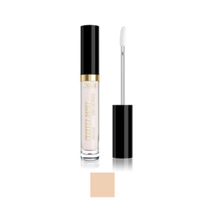 PERFECT MATT كونسيلر خافي عيوب البشرة 04 - Delia Cosmetics