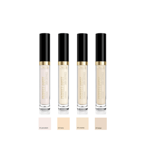 PERFECT MATT كونسيلر خافي عيوب البشرة 04 - Delia Cosmetics
